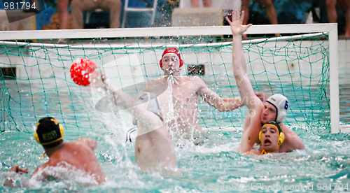 Image of Water Polo