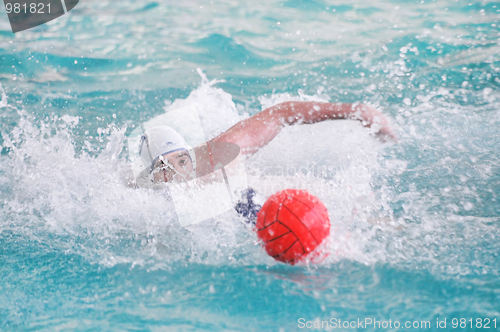 Image of Water Polo