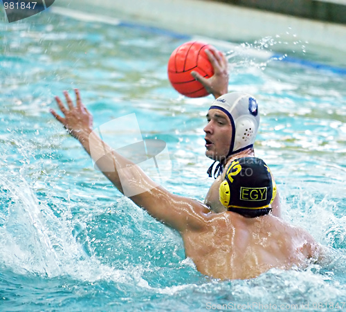 Image of Water Polo