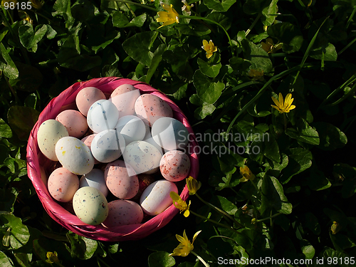 Image of Easter Eggs (oeufs)