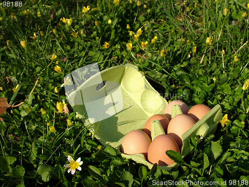 Image of Easter Eggs (oeufs)