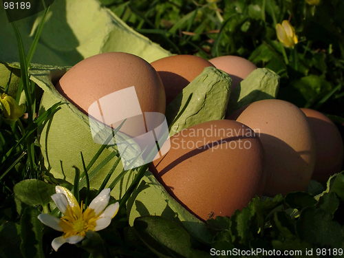 Image of Easter Eggs (oeufs)