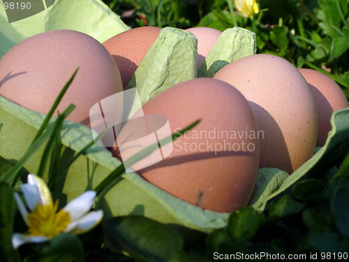 Image of Easter Eggs (oeufs)