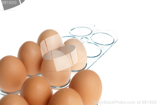 Image of Eggs