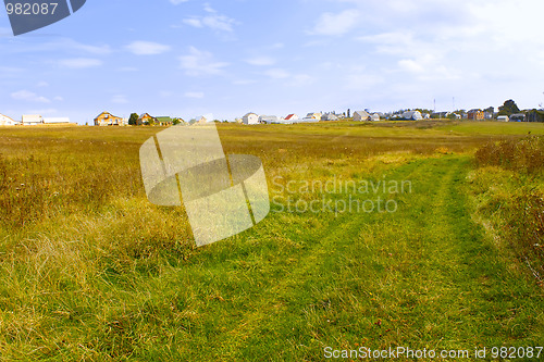 Image of The road through meadows