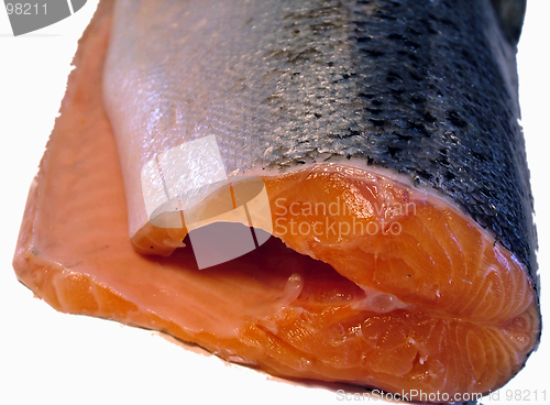 Image of Salmon