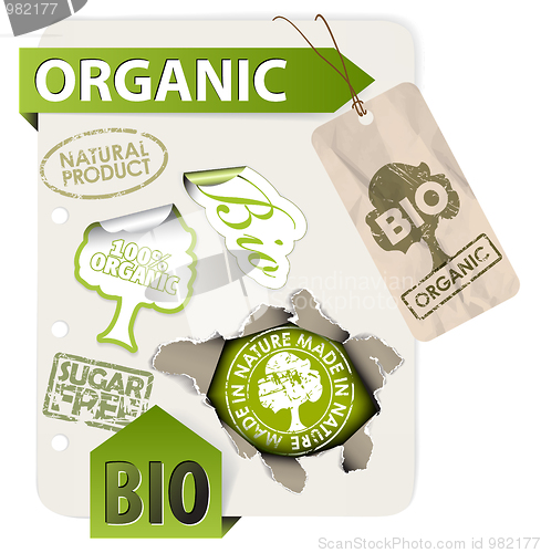 Image of Set of bio, eco, organic elements