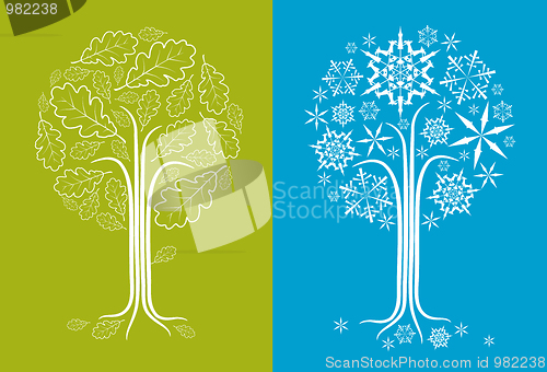 Image of vector oak tree in different seasons