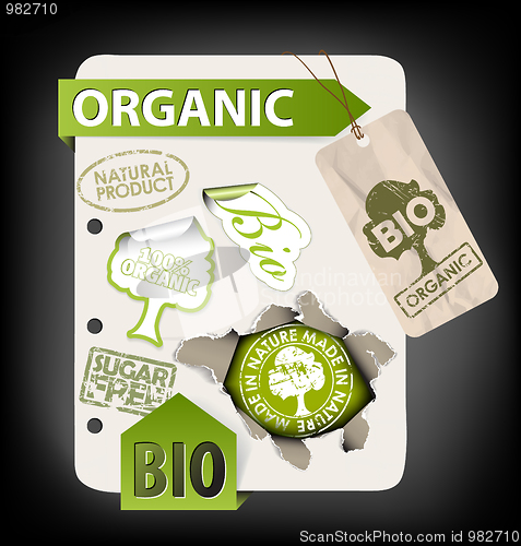 Image of Set of bio, eco, organic elements