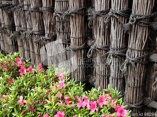 Image of Fence and flowers