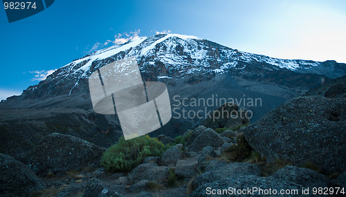 Image of Kilimanjaro
