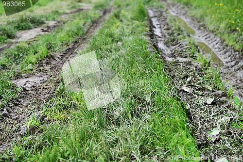 Image of Tire track 