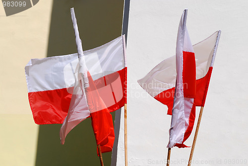 Image of polish flag 