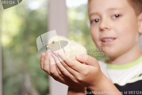 Image of Boy with chick