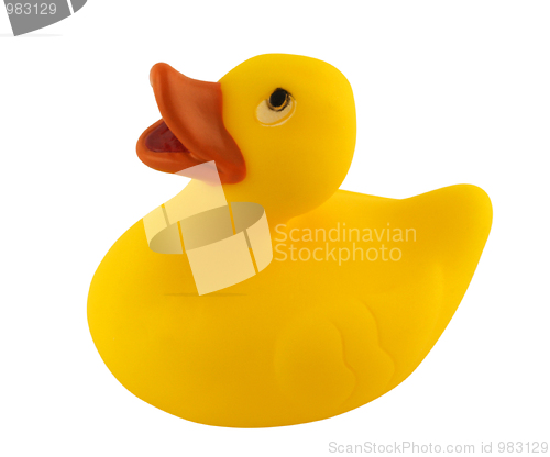 Image of Toy Duck