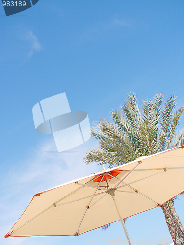 Image of Beach Umbrella, palm and Sky