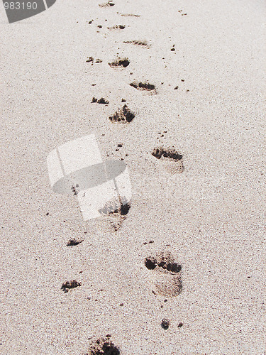 Image of Footprints