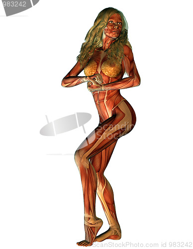 Image of structure of muscle of a woman in strength pose - white