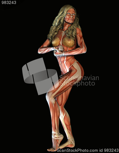 Image of structure of muscle of a woman in strength pose