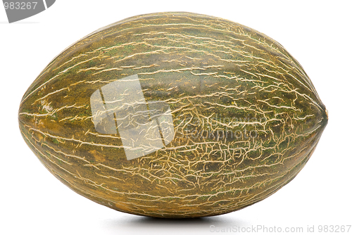 Image of Melon