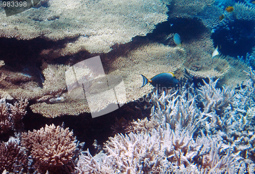 Image of underwater