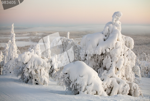 Image of winter landscape