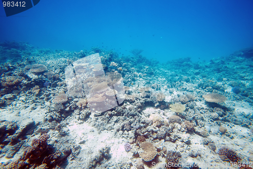 Image of underwater