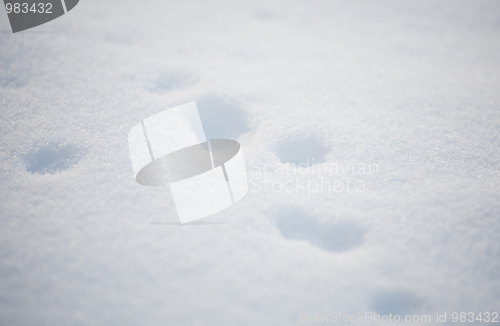 Image of soft snow texture