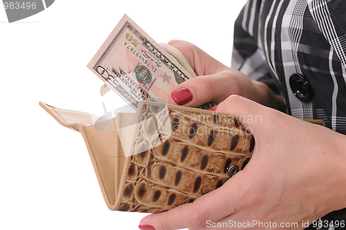 Image of purse