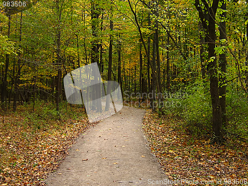 Image of Autumn Hike