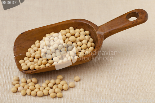 Image of rustic scoop of soybeans