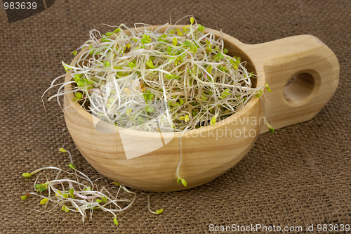 Image of broccoli, radish and clover sprouts in a wooden bowl