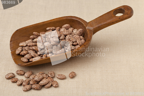 Image of rustic scoop of pinto beans