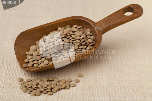Image of rustic scoop of green lentils