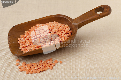 Image of rustic scoop of red lentils