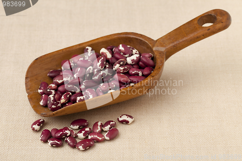 Image of rustic scoop of Anasazi beans