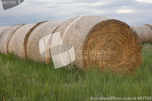 Image of hay bales and green grass