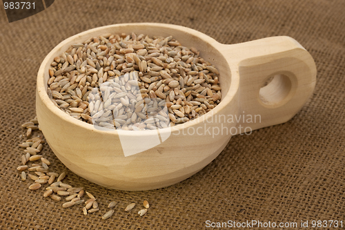 Image of scoop of rye grain