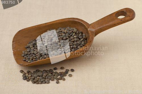 Image of rustic scoop of French green  lentils