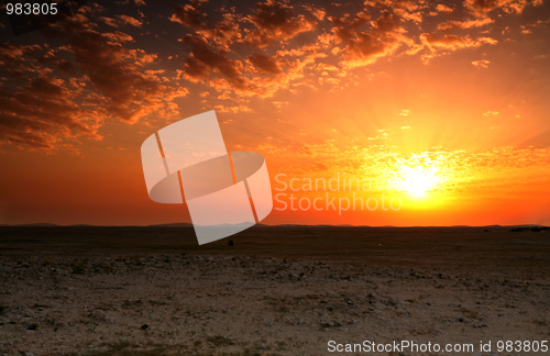 Image of Qatar desert sunset