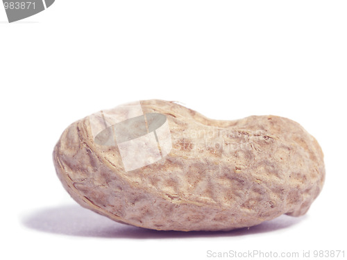 Image of One peanut