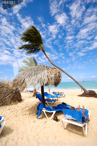 Image of Sunbeds and parasol