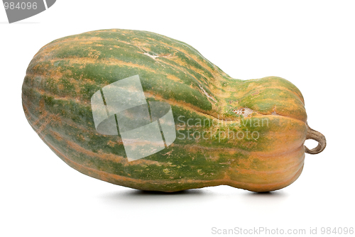 Image of Calabash pumpkin