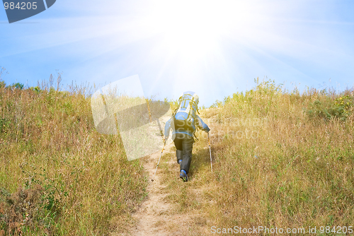 Image of Hiker