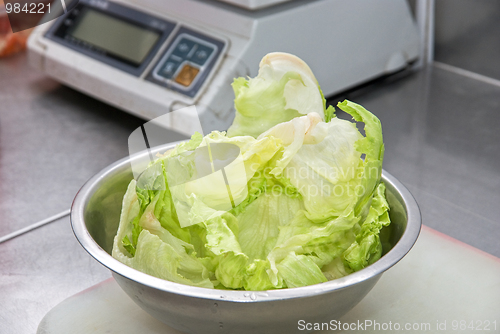 Image of chinese cabbage