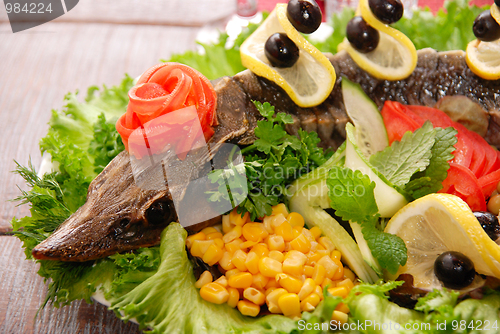 Image of Prepared Sterlet