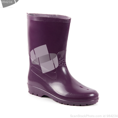 Image of wellington boot