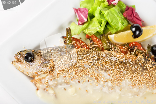 Image of trout fish