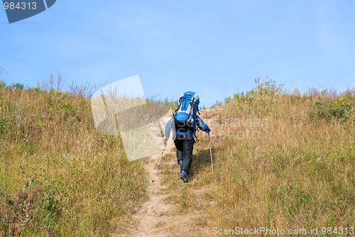 Image of Hiker