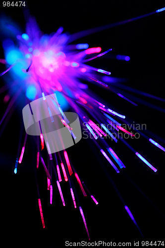 Image of Optical Fibers